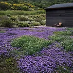 Patermater - Tuscany Retreat Bed & Breakfast